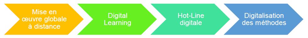 flechearticle